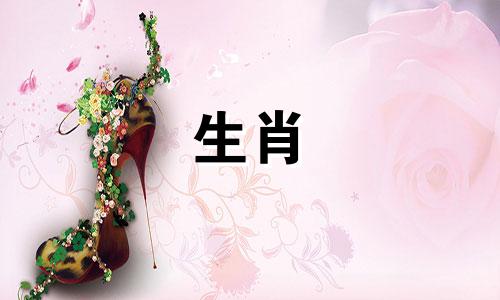 麦玲玲2022生肖猪运输分析