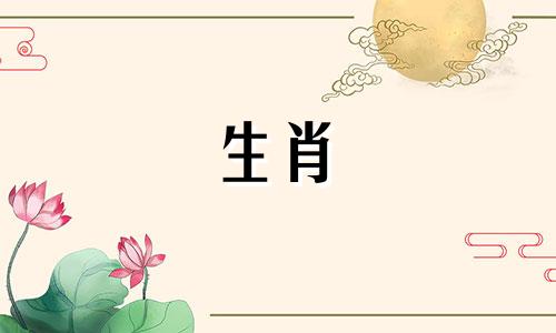 2007年出生的猪生活好，生活藏金，衣食无忧从小