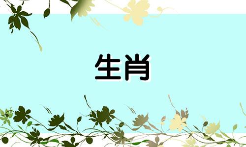 2022年6月属猪运，工作运正常，感情运较好