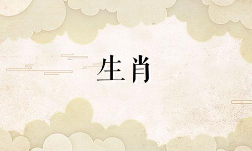 2007年9日出生的猪命好、运旺、合家福、幸福