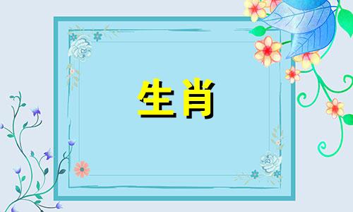 1995年出生的猪呢?他们聪明伶俐。