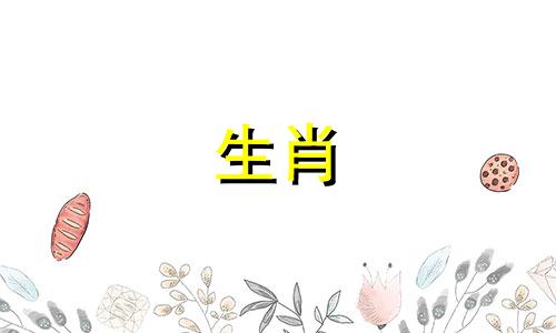 养狗的女人可以在2022年10月生孩子吗?宝宝的人气会更好