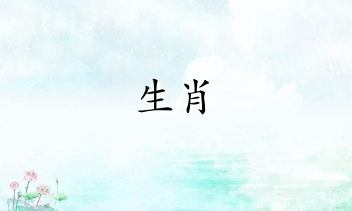 狗妈妈和猪爸爸适合2022年的宝宝，性格好吗?