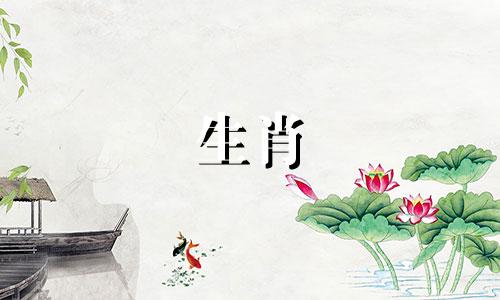 1971年出生的猪好生活,无忧无虑的生活,兴旺发达