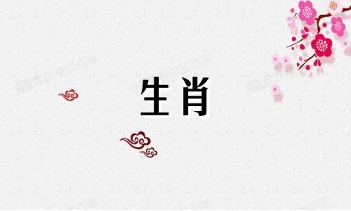 两只属鼠能匹配吗?屋里有两只属鼠好吗?