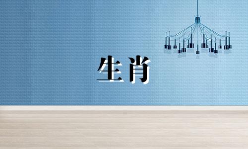 “狗男”2022年的财富与婚姻