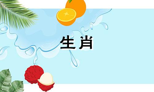 2022年2月你的狗星座运势