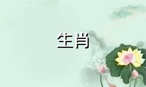 2018年出生的狗会过什么样的生活，富贵而不富贵