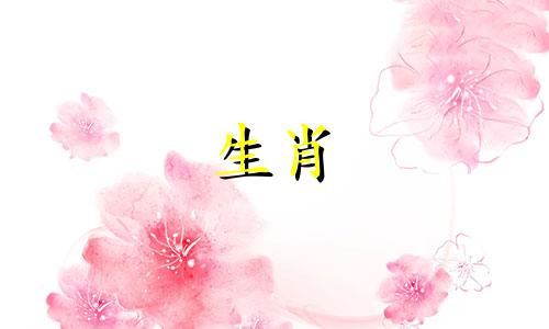 对于属狗的人来说,2021年将会有很多麻烦。