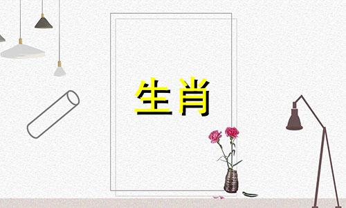 1994年出生的狗命好，运顺，子孙好