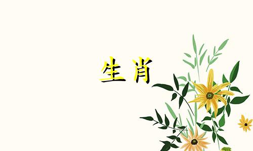 1982狗海水的命运与婚姻