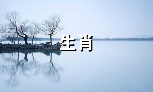 什么时候出生最适合养马?马出生几天有钱有钱有钱