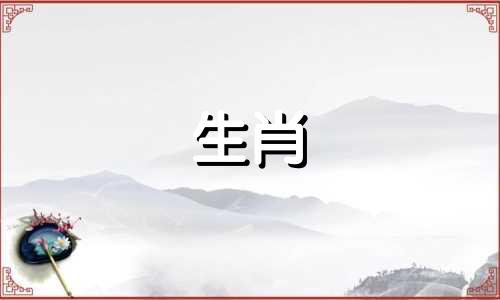 2018年出生的狗狗生活如何,脚踏实地,稳赢