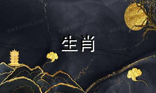 兔子是否有良好的性格和脾气