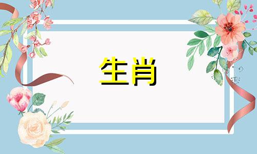 什么生肖适合鸡妈妈和猪爸爸