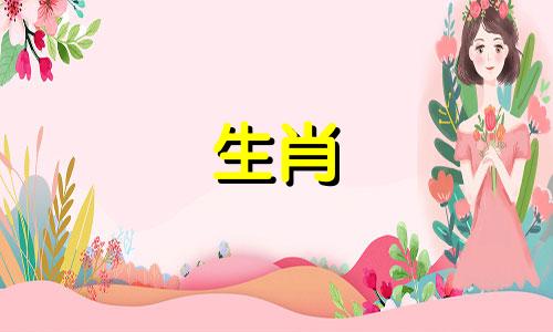 属龙应该生什么样的宝宝?