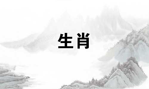 兔子属于哪个动物种类?