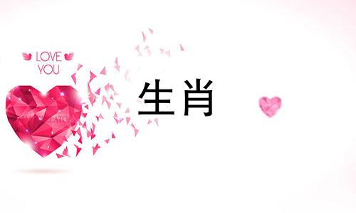 小鸡在2022年生孩子可以吗?