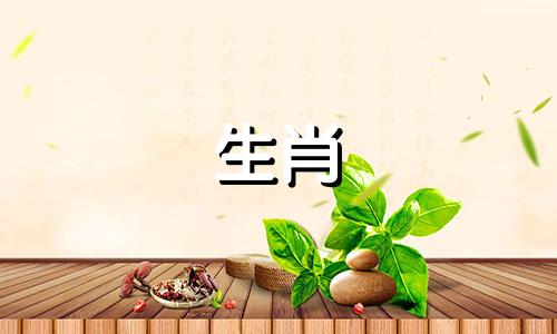 兔女郎的性格与脾气如何看兔女郎的性格与脾气