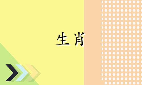 鸡的事业需要坚持和努力