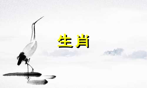 鸡的最佳出生月份是什么时候?