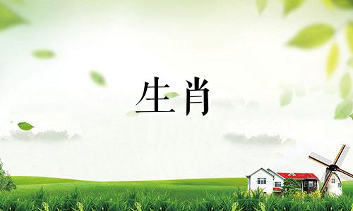 鸡妈妈和狗爸爸是对立的婴儿