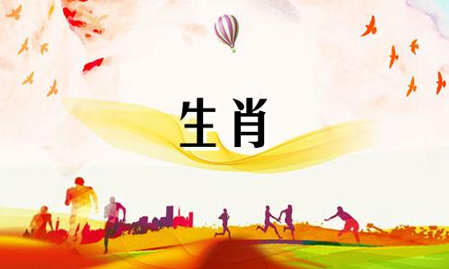 鸡女在2022年12月生孩子好吗?