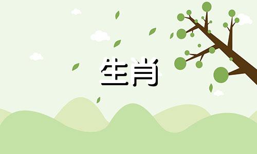 鸡妈妈和鸡爸爸对应什么属相?