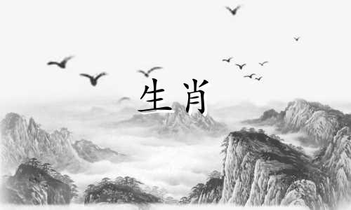 12月出生的蛇命运如何?