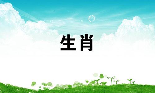 2005年养鸡男女婚姻命运分析
