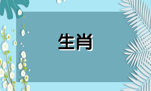 '97牛和哪个生肖最相配?