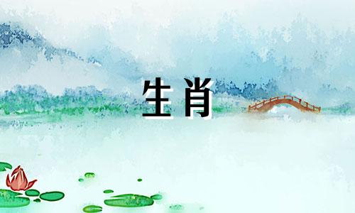 2017年属鸡的人的人生是怎样的呢?胸怀大志，多谋多谋，人生一片光明