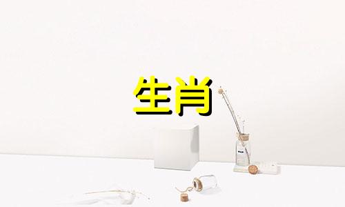 虎女的婚姻和命运是什么?