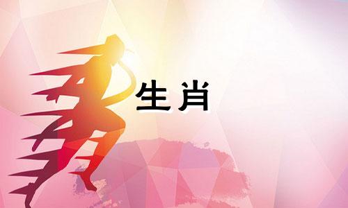 母猴和子猴的生肖是六，猴和蛇的六组合