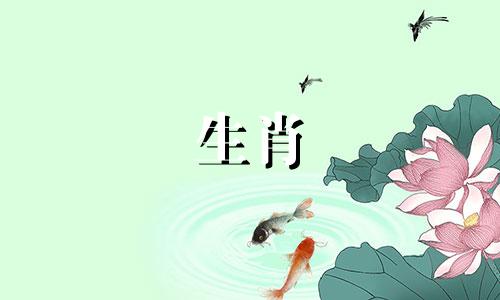 1978马交配表78生肖交配表