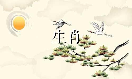 1992年建丰黄金人生2022年财猴30岁有祸吗