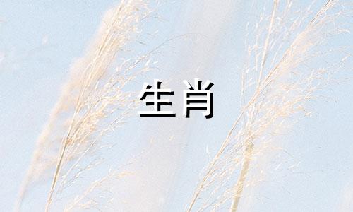 67年生肖羊的特征是什么?