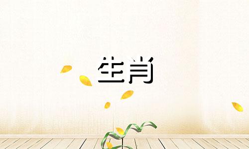 属蛇的人2019年运势如何?