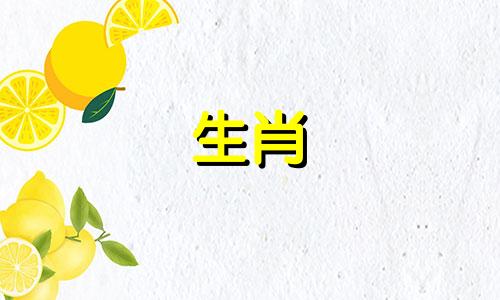 63岁的兔子和哪些属相是相容的