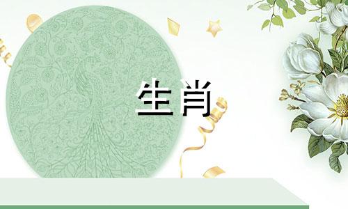 1964年属龙之队的最佳比赛