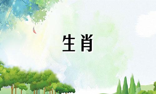 不同时间出生的属龙的分析