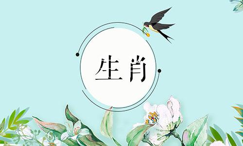 虎年62是这些动物的好搭配