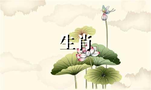 兔子与什么动物有亲缘关系