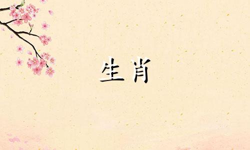 猴年出生的女人2022你的运势和运势