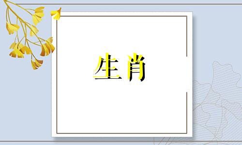 在1989年，什么是蛇的好搭配?