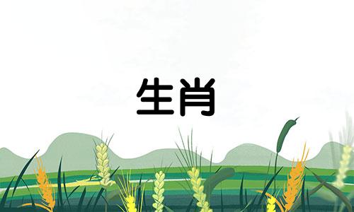 你的狗2022年的运势和运势如何