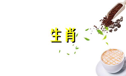 1980年节衣缩食的属猴的命运