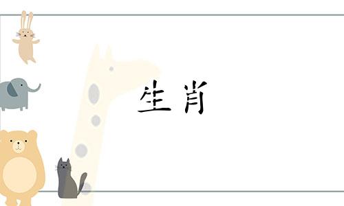 宋绍光2022年猴年运势与历程