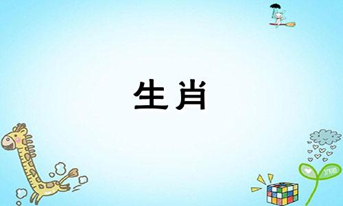 2019年属羊的人运势如何?