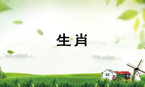 2007年什么生活,2007年猪命命运与婚姻